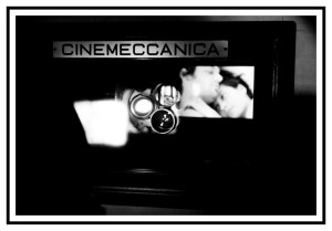 don zucchini cinema alternativo