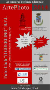 locandina artephoto 2014