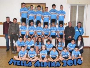stella_alpina_2014