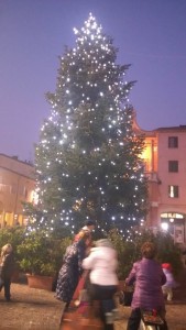 il maestoso albero di natale acceso in Piazza 