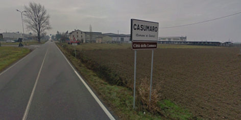 casumaro