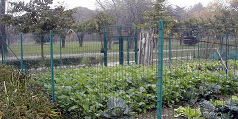 orti-sociali