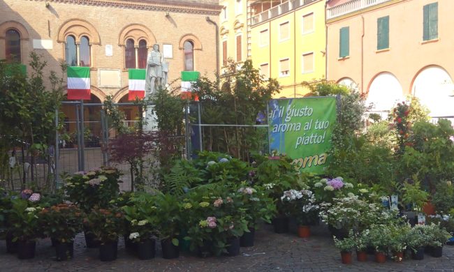 PIAZZA IN FIORE 3