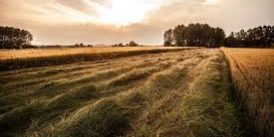 campagna