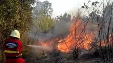 INCENDIO (FOTO REPERETORIO)