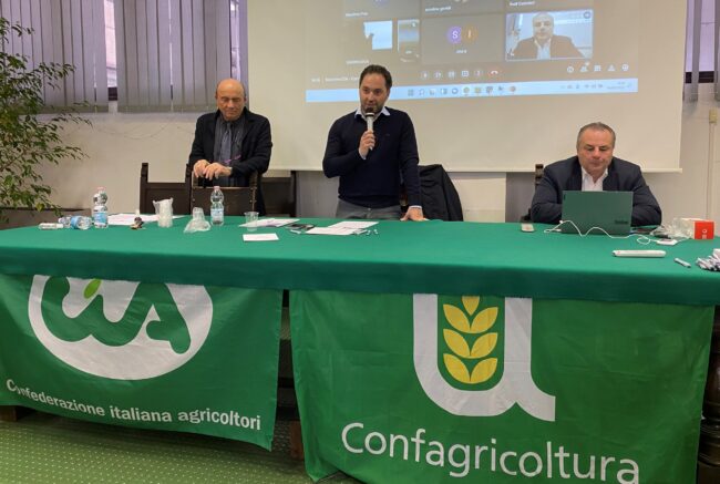 Foto 2 (1)