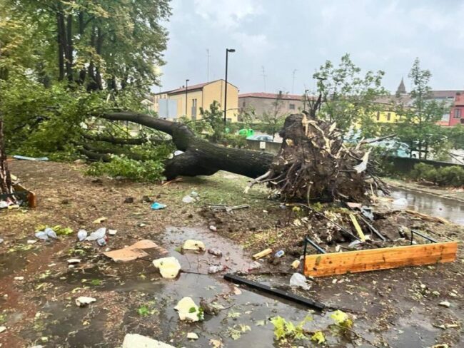 maltempo-bondeno-emilia-romagna-1-768×576