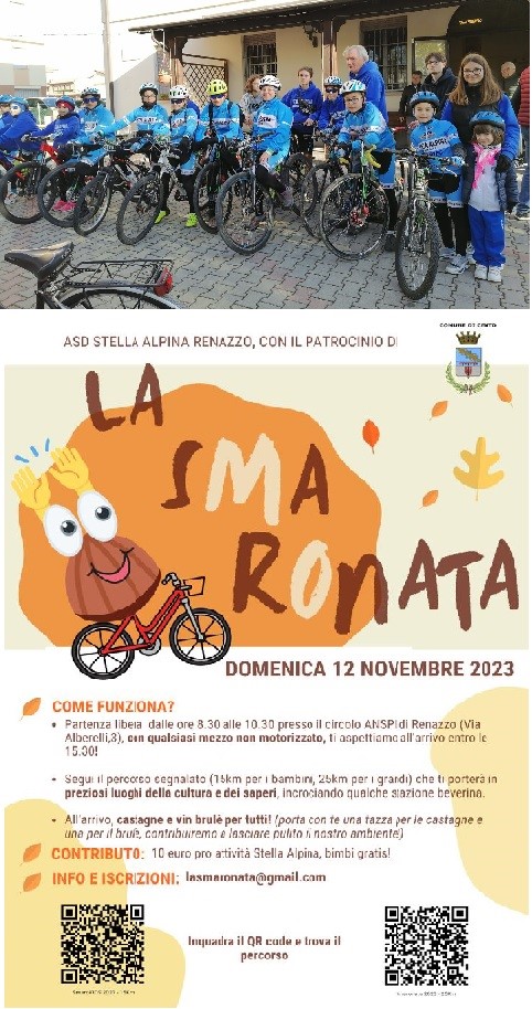 COLLAGE STELLA ALPINA