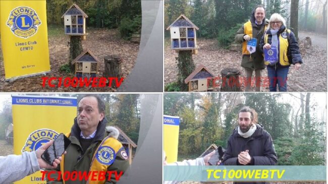 COLLAGE BUG HOTEL