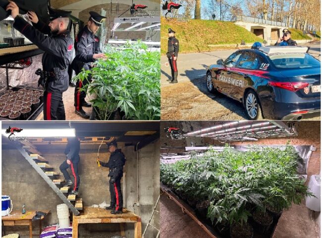 COLLAGE CARABINIERI OPERAZIONE MARIA