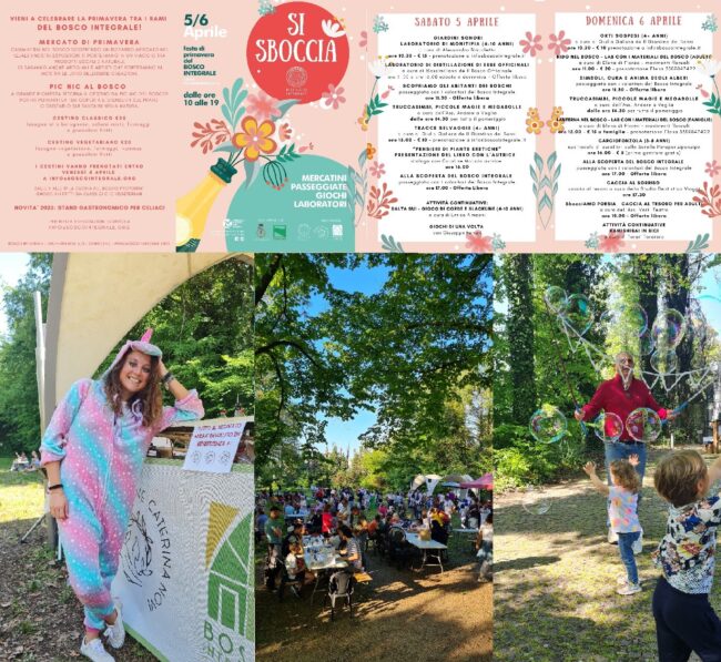 COLLAGE IL BOSCO SBOCCIA 25