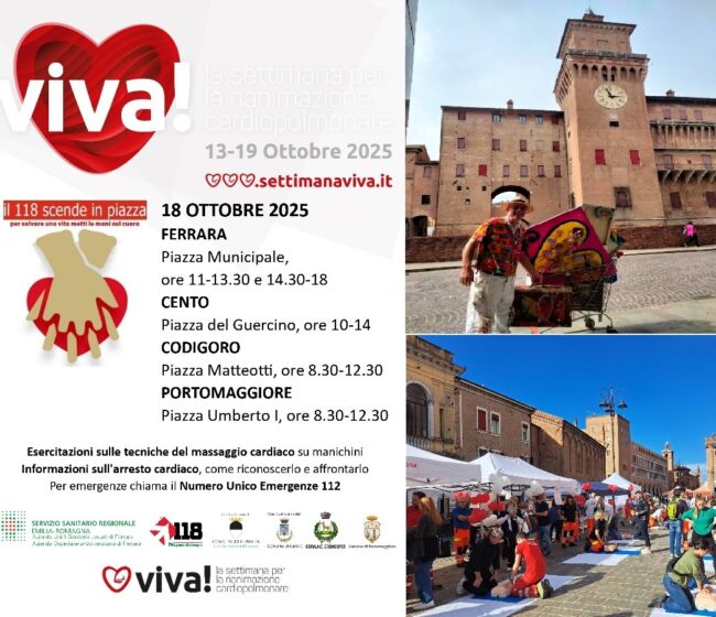 collage vivi