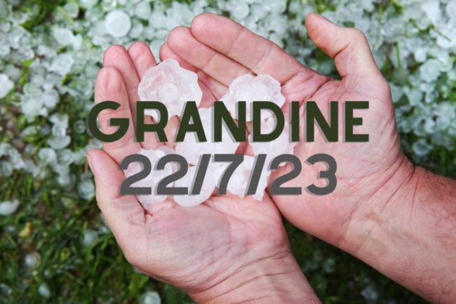 grandine_home