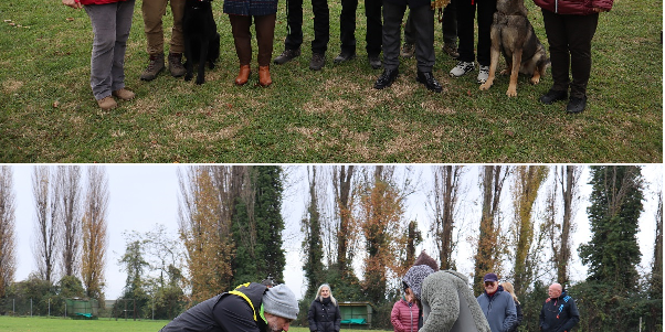 COLLAGE BONDENO CANE
