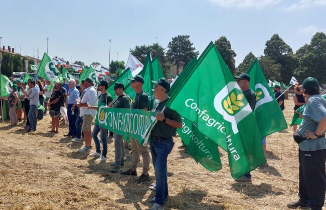 1. Una manifestazione di protesta a carattere uniotario