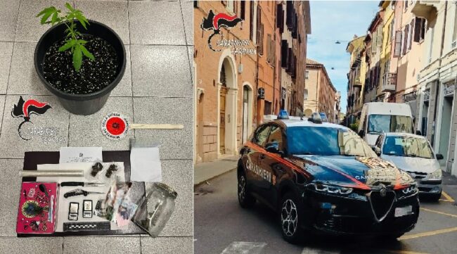 collage del 26 12 25 carABIN IRI