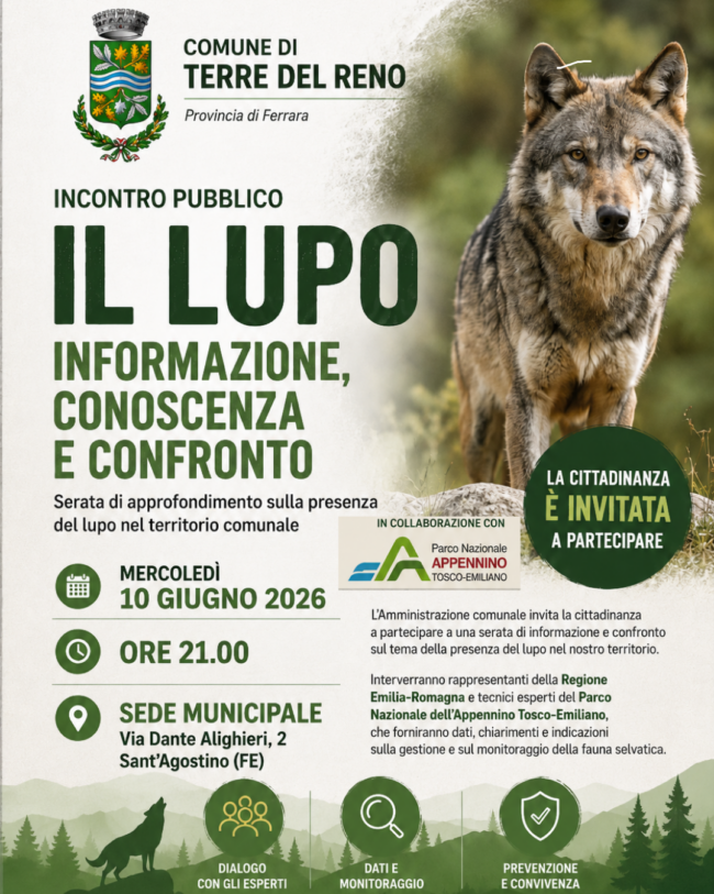 il lupo